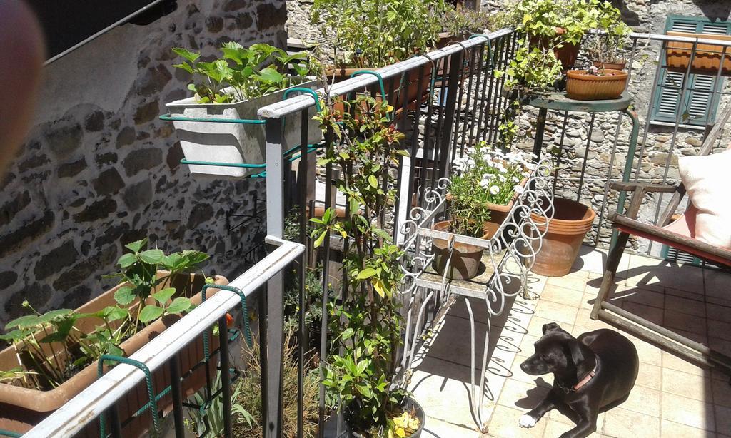 Casa Med Holiday Home Isolabona ภายนอก รูปภาพ