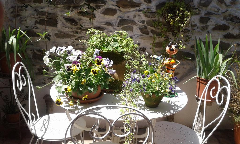 Casa Med Holiday Home Isolabona ภายนอก รูปภาพ